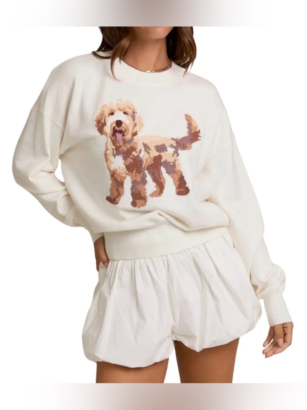 Le Lis Collection Dog Graphic Sweater M White Puppy Novelty Knit
